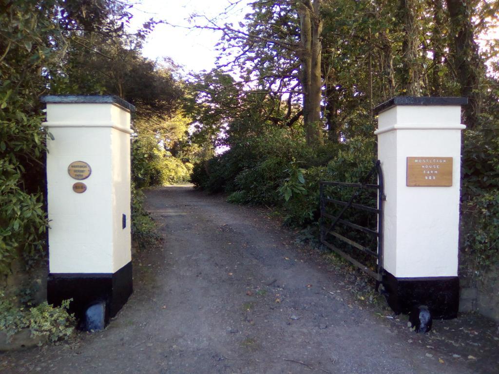 Westleigh House Farm Bed and Breakfast Bideford Εξωτερικό φωτογραφία