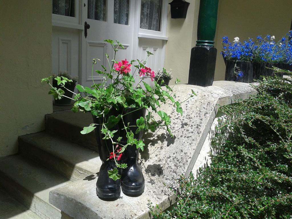 Westleigh House Farm Bed and Breakfast Bideford Δωμάτιο φωτογραφία