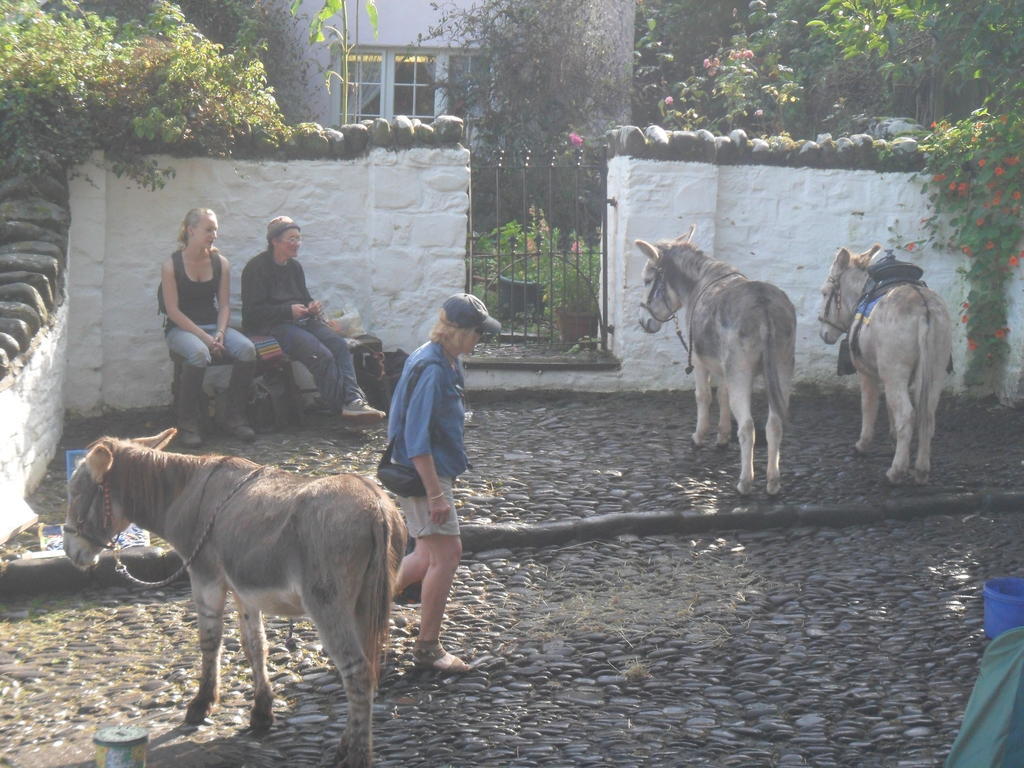 Westleigh House Farm Bed and Breakfast Bideford Εξωτερικό φωτογραφία