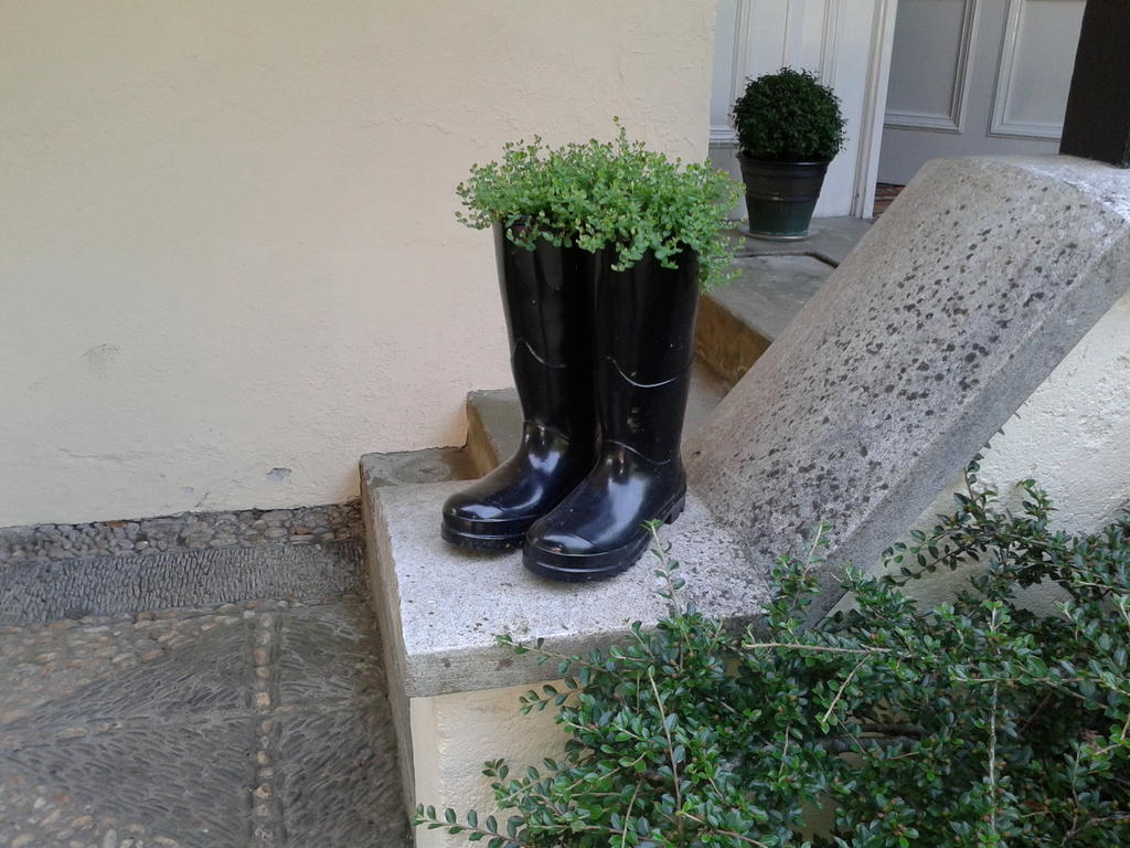 Westleigh House Farm Bed and Breakfast Bideford Εξωτερικό φωτογραφία